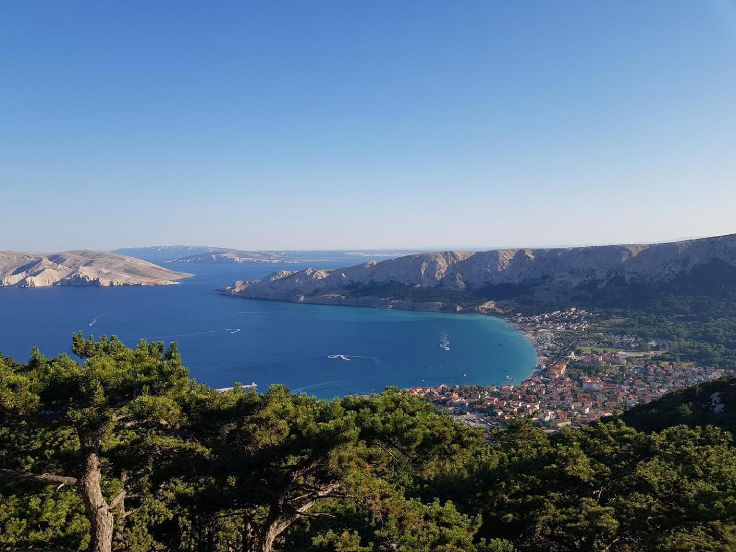 Pensionat Aquarium Dorcic